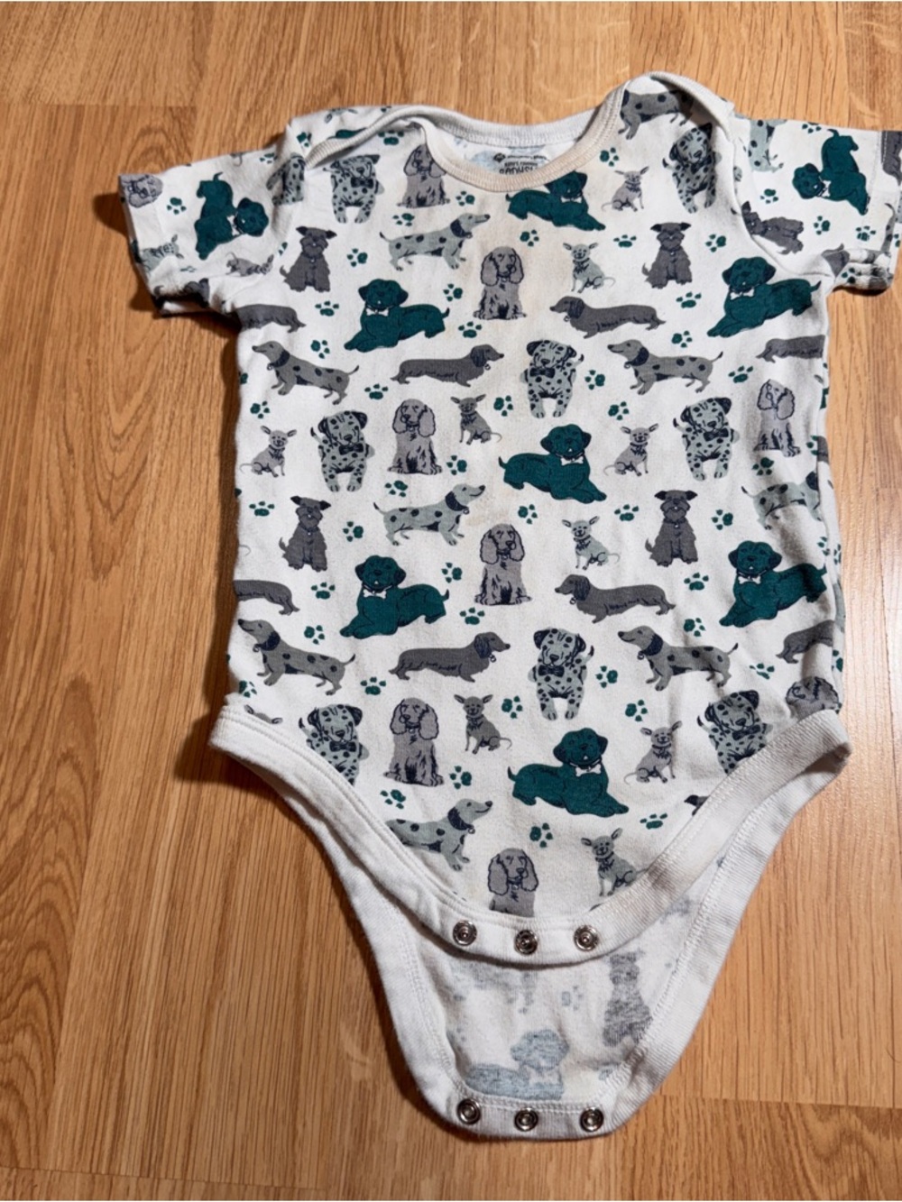 Baby One-Piece Bodysuit with green & Gray Puppy Print